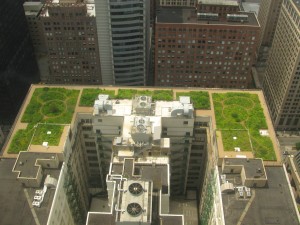 20080708_Chicago_City_Hall_Green_Roof
