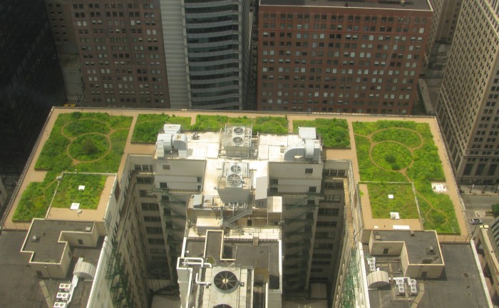 20080708_Chicago_City_Hall_Green_Roof