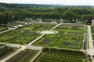 Potager_du_Roi