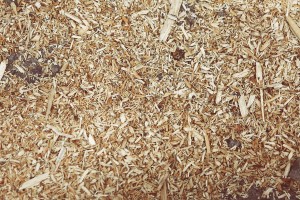 shredded-wood-407024_1280