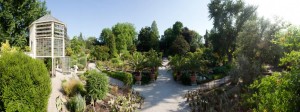 Orto botanico_Padova