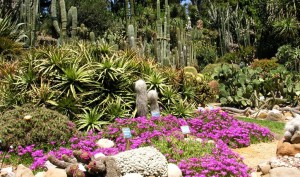 orto botanico napoli