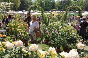 Masino_tre giorni giardino