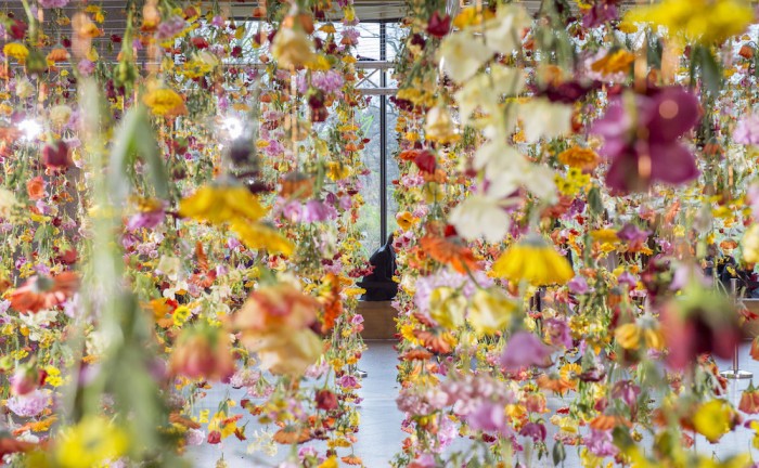 fiori_berlino