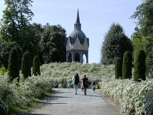 fiorimasino_giardino nuvole