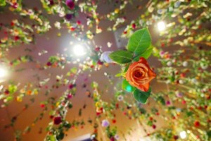 installazione floreale_rebbecca law