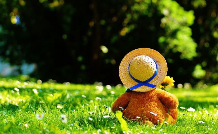 teddy-bear-797577_1920
