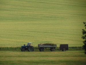 agriculture-354679_1920