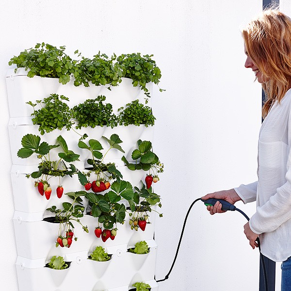 minigarden-vertical-kitchen-garden