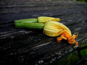 zucchini-395082_1280