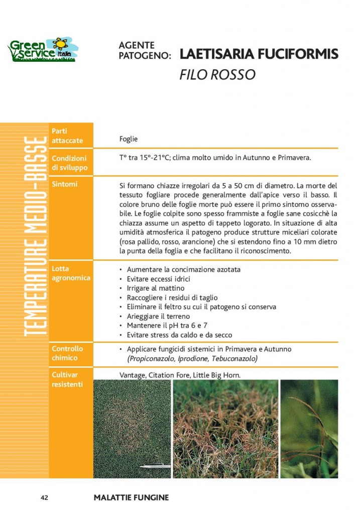 Bottos Safe Kg 1 - Antifungino Per Prato Con Zinco E Manganese - Foto 12