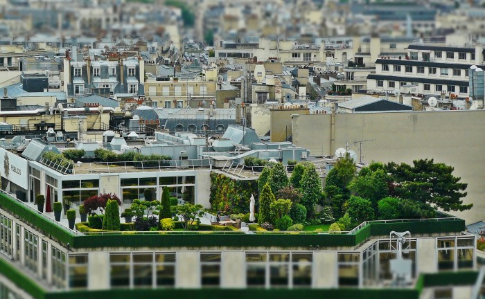 roof-terrace-1423897_1920