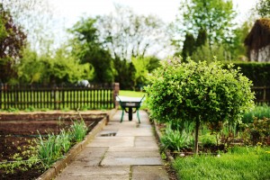 wheelbarrows-2157324_1920