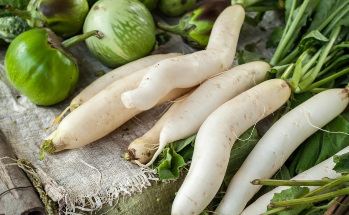 daikon-organic_1140