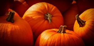 pumpkins-3726919_1280