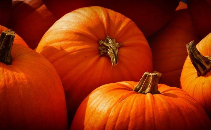 pumpkins-3726919_1280